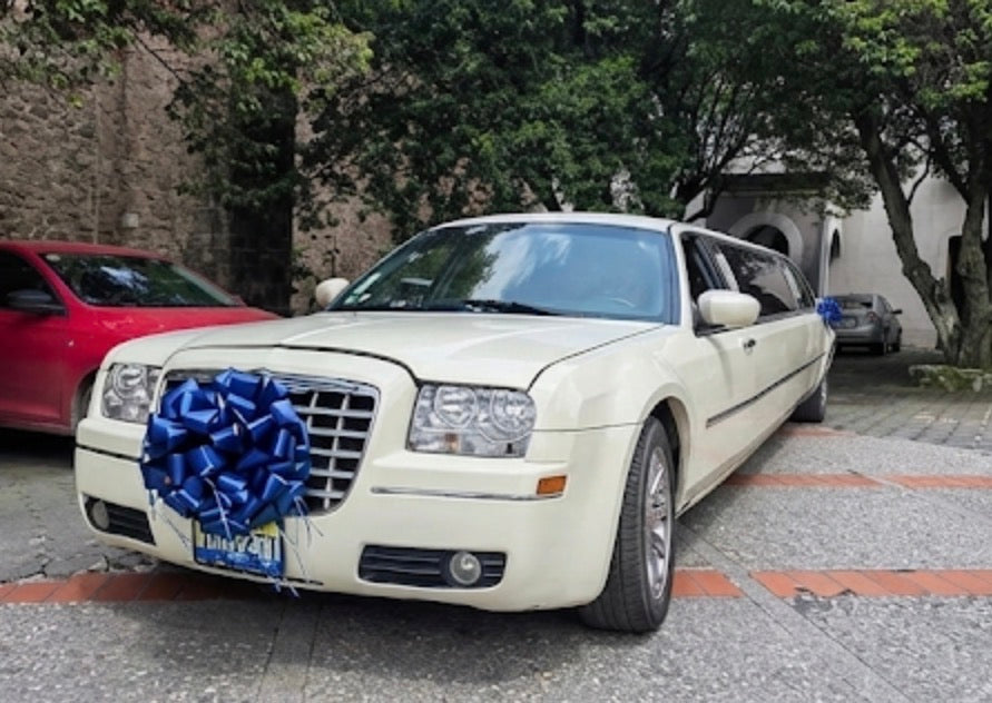 Servicio Limusina